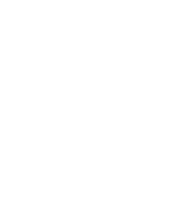 Leaf Software Solutions logo